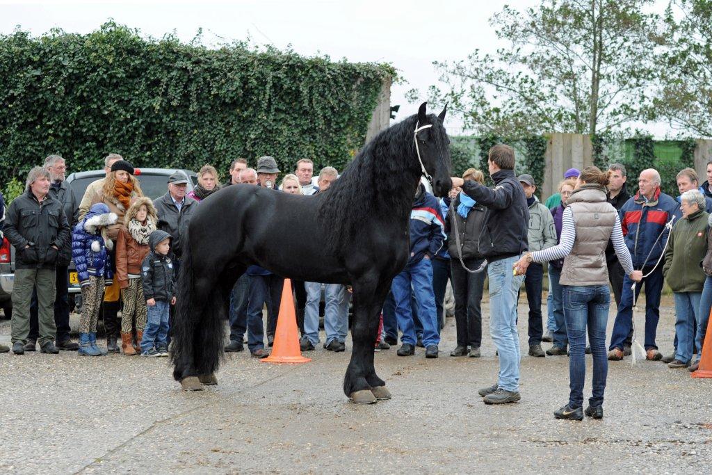 Clinic Fokdag Blauwhuis