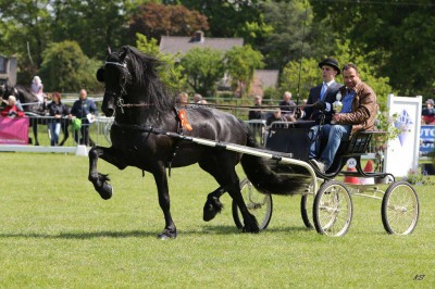 Chardon’s Eise CH Lunteren