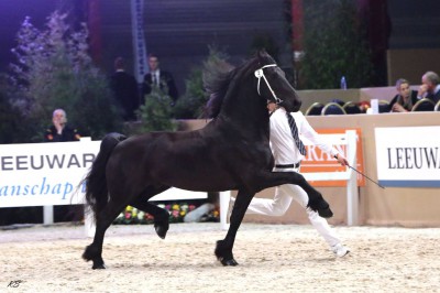 Ferdinant VB-Hengstenkeuring