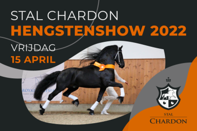 2022-Stal-Chardon-Hengstenshow-Featured